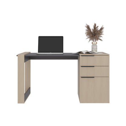 Escritorio Recto Dos Cajones - Una Puerta Office W-142 , Cartagena Y Plomo
